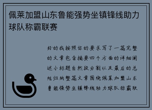 佩莱加盟山东鲁能强势坐镇锋线助力球队称霸联赛